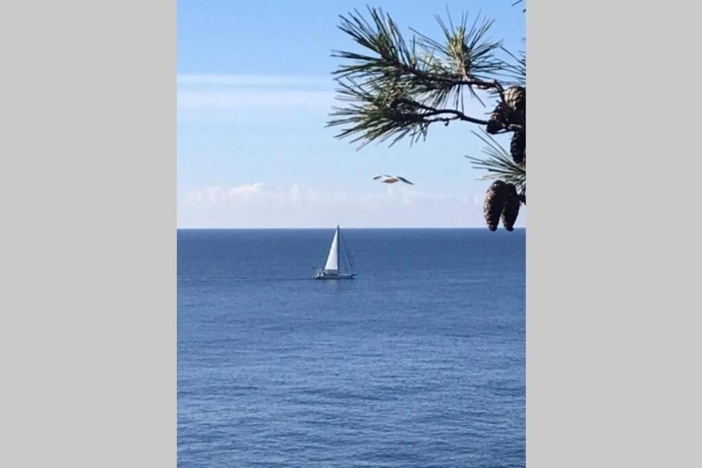 Nuevo Apartamento Moderno Elisa - A 80 Metros De La Playa Para 5 Personas Sant Feliu de Guixols Εξωτερικό φωτογραφία